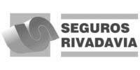 logo riva